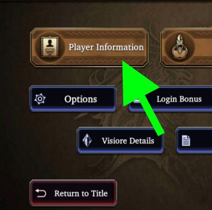 Player Information & How to Change Player Name 2