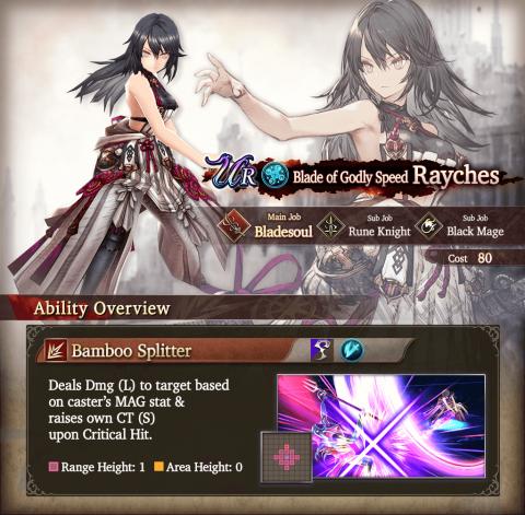 New Unit: Rayches & Excellent Companion VC