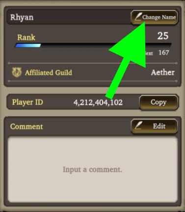 Player Information & How to Change Player Name 4